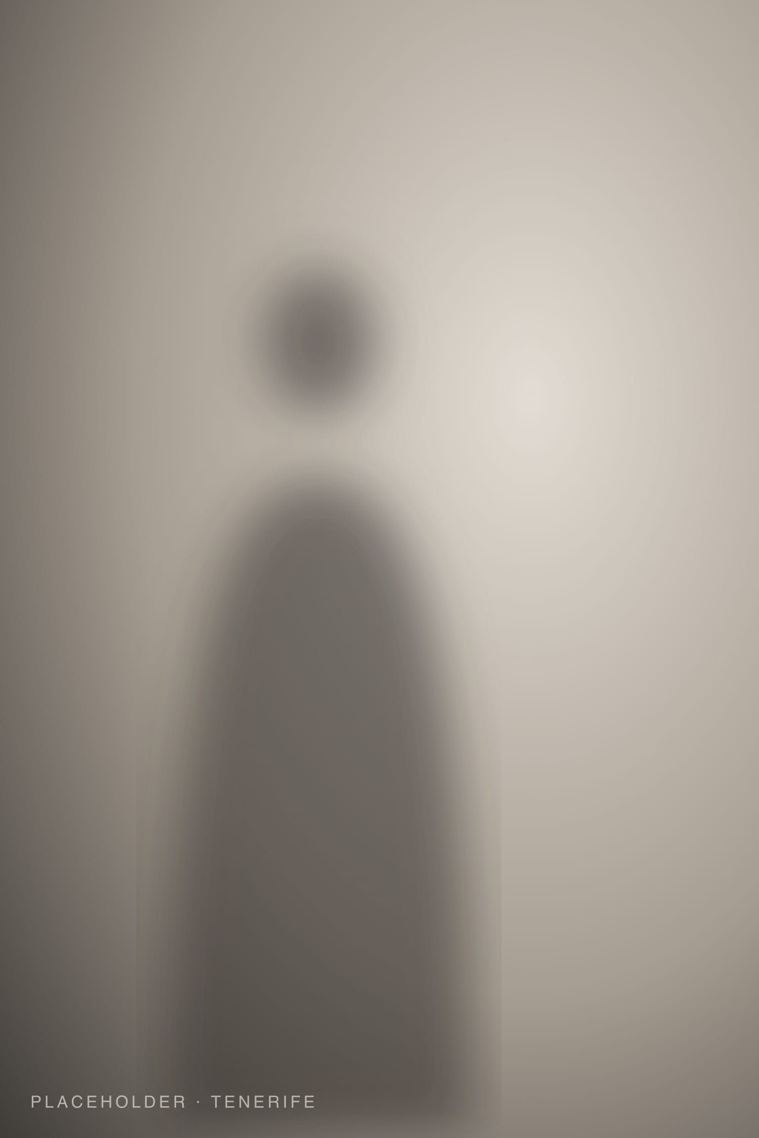 Portrait in the studio against a plain backdrop